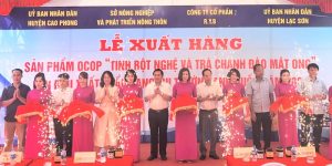 Tinh bột nghệ và trà chanh đào mật ong Hòa Bình chinh phục thị trường Anh Quốc